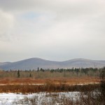 A view to the east in Victory Basin View to the East, Victory Bog hike 2/11/12