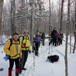 At the junction of the Gore Mountain and the Middle Mountain trails At Gore Junction 1/8/12. Little did we know!