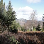 Brousseau Mountain Brousseau Mountain