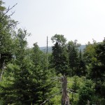 a view from Split Rock with Roundtop & Gore View from the rock. Once cleared--Gore, Round Top and Brusseau