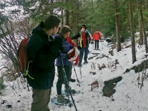 Perry Holbrook Hike - December 2, 2023