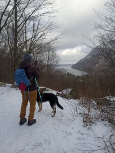 First Day Hike - CCC Road - January 1, 2024
