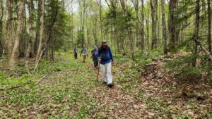 Cow Mountain - Trail Work Day - May 19, 2024