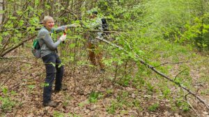 Cow Mountain - Trail Work Day - May 19, 2024