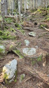Haystack Mountain Hike - May 26, 2024