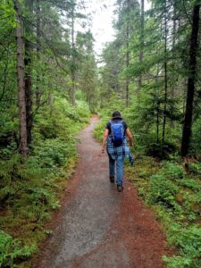 Jill Lillis on Moose Bog Trail - Brighton Trails Day - June 22, 2024