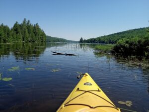 Norton Pond Paddle #1 - June 25, 2024