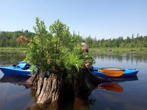 Norton Pond Paddle #1 - June 25, 2024
