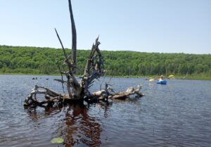 Norton Pond Paddle #1 - June 25, 2024