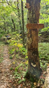 Long Trail Day - Rte 242 to Rte 58 - September 21, 2024