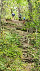 Long Trail Day - Rte 242 to Rte 58 - September 21, 2024