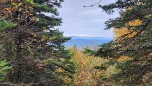 Long Trail Day - Rte 242 to Rte 58 - September 21, 2024
