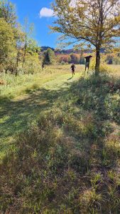 Westmore Mountain Challenge - Mad Brook Station - September 28, 2024