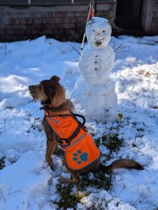 Gore Mountain - East Trail - October 18, 2024