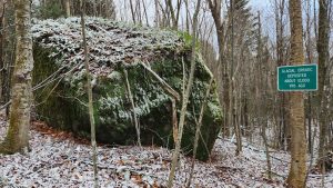 Cow Mountain Loop Trail - November 12, 2024