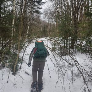 Bald Mountain Mad Brook Trail December 18, 2024