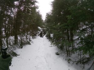 Bald Mountain - Mad Brook Trail December 18, 2024
