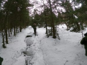Bald Mountain - Mad Brook Trail December 18, 2024
