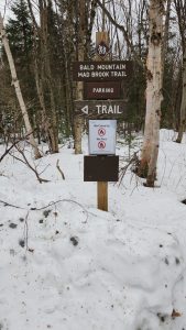 Bald Mountain - Mad Brook Trail December 18, 2024