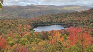 View of Wheeler Pond from Moose Overlook