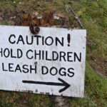 Caution Sign at Moose Lookout