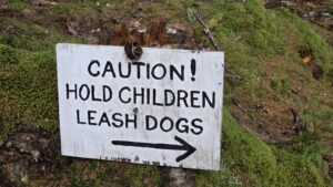 Caution Sign at Moose Lookout