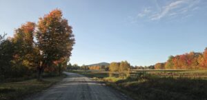 Mad Brook Rd View