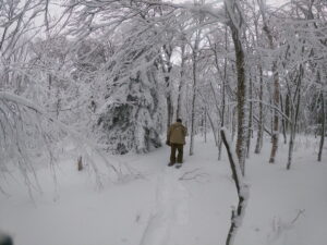 Split Rock Snowshoe - Middle Mountain