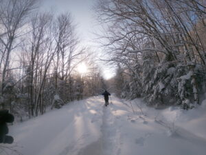 The East Trail - Pisgah