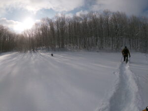 The opening on the East Trail - Pisgah