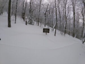 East Trail - North Trail Junction on Pisgah