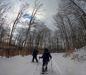 What's That? with Beth and Barb - March 24, 2026