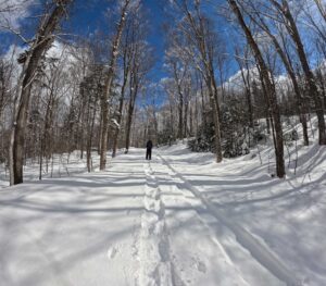 Hiking the Bartlett Mountain Loop - March 24, 2026