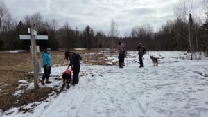 Taking a break at Dashney - March 29, 2026