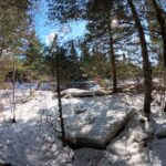 Ice Chunks - North Branch Trail - March 28. 2026