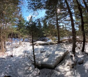 Ice Chunks - North Branch Trail - March 28. 2026