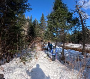 North Branch Trail - March 28. 2026