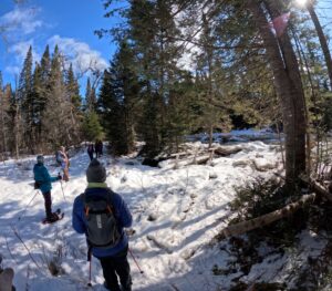 Washed out bridge - North Branch Trail - March 28. 2026