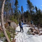 Blowdown - North Branch Trail - March 28. 2026