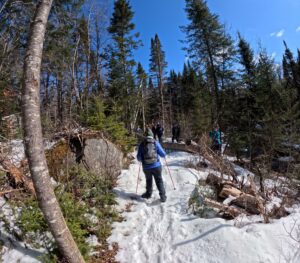 Blowdown - North Branch Trail - March 28. 2026