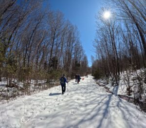 Bluebird Day - North Branch Trail - March 28. 2026