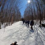Bluebird Day - North Branch Trail - March 28. 2026