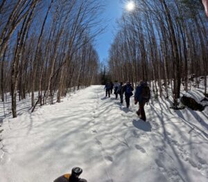 Bluebird Day - North Branch Trail - March 28. 2026