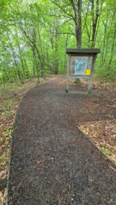Lewis Pond Overlook - National Trails Day clean up