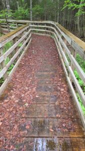 Lewis Pond Boardwalk National Trails Day clean up 06-06-2026