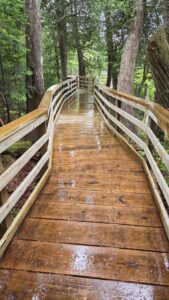 Lewis Pond Boardwalk National Trails Day clean up 06-06-2026