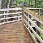 Lewis Pond Boardwalk National Trails Day clean up 06-06-2026