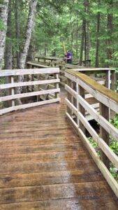 Lewis Pond Boardwalk National Trails Day clean up 06-06-2026