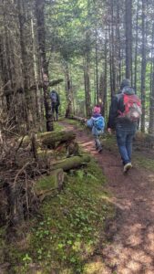 North Branch Trail - Island Pond Trails Day, June 20, 2026