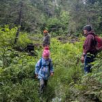 North Branch Trail - Island Pond Trails Day, June 20, 2026